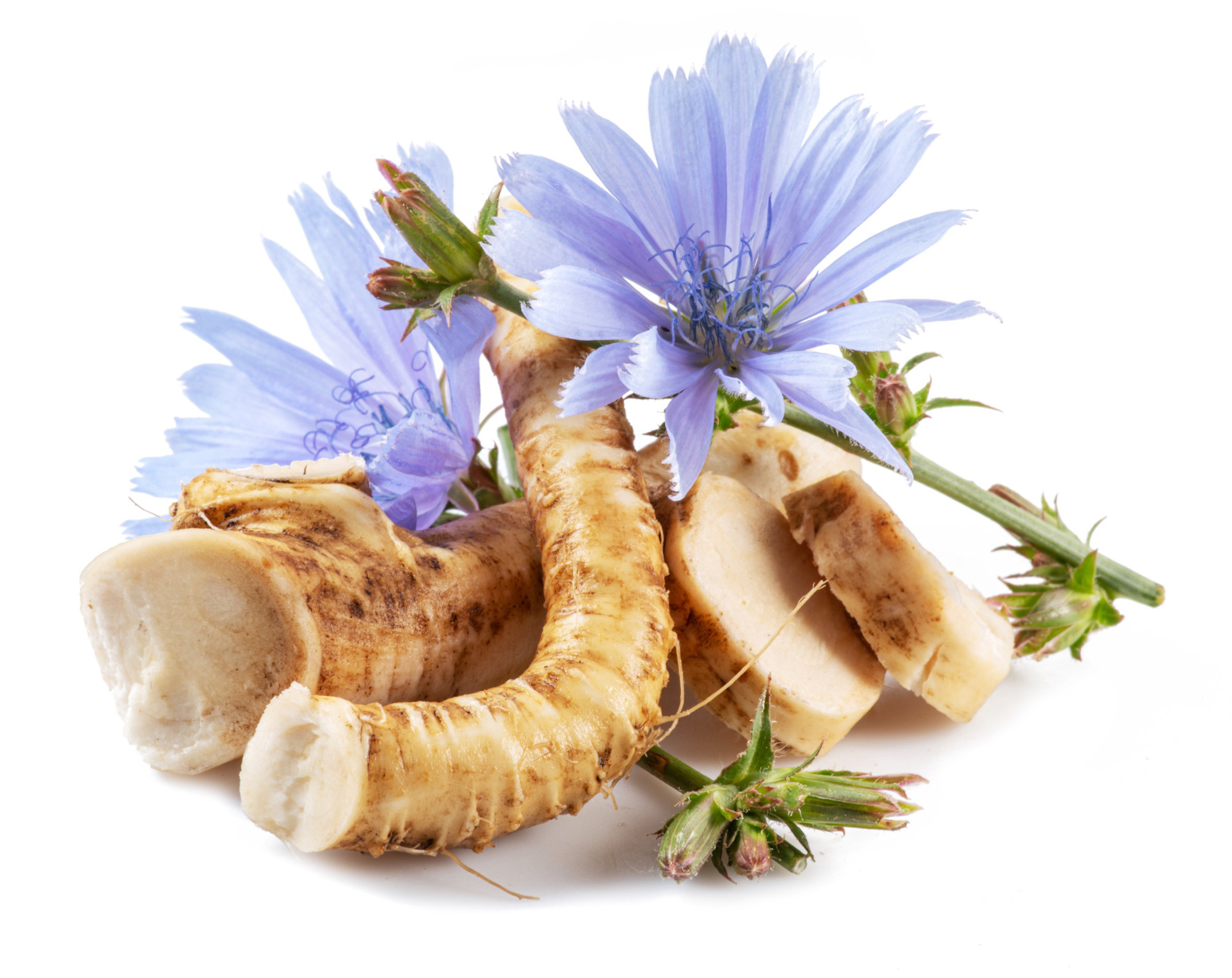 Chicory Root Fiber
